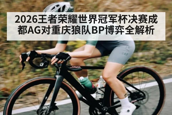 2026王者荣耀世界冠军杯决赛成都AG对重庆狼队BP博弈全解析 - kaiyun